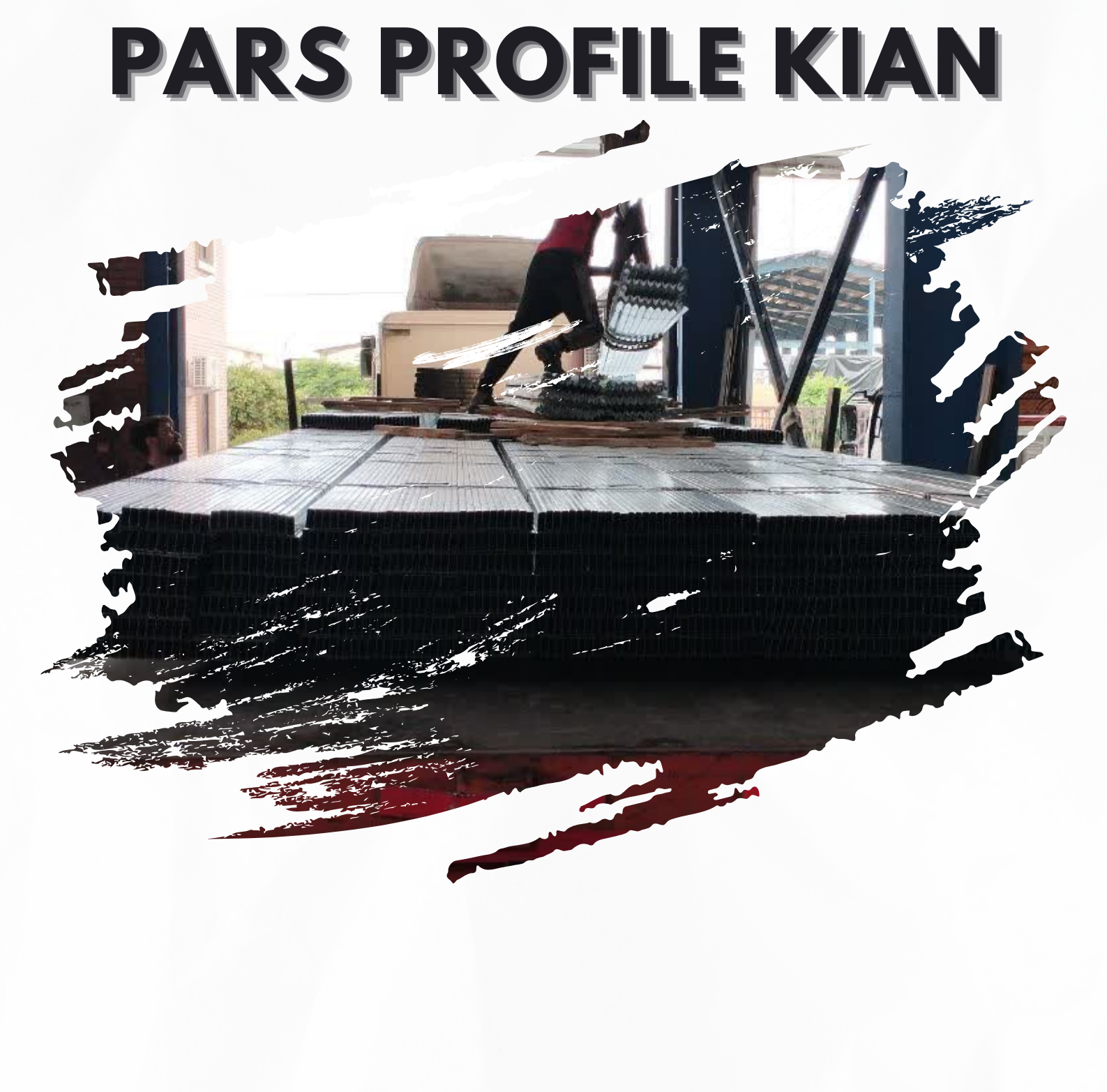 PARS PROFILE1 3